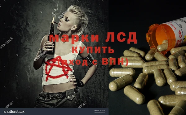 гашик Михайловка